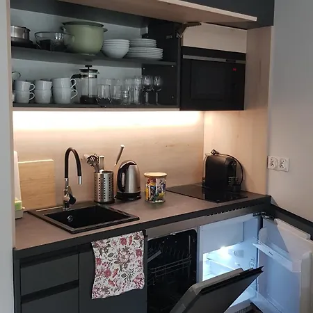 Apartamento Chopin Park Lux Apartment, Self Check-in 24h, Free Parking, Air-conditioning Poznań