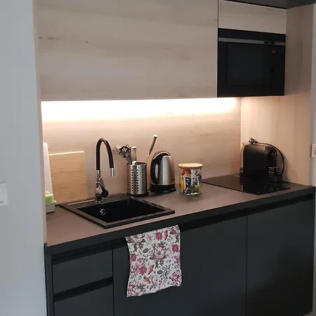 Chopin Park Lux Apartment, Self Check-in 24h, Free Parking, Air-conditioning 아파트 포즈난