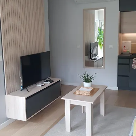 Chopin Park Lux Apartment, Self Check-in 24h, Free Parking, Air-conditioning * Poznań