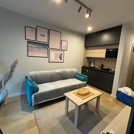 아파트 Chopin Park Lux Apartment, Self Check-in 24h, Free Parking, Air-conditioning 포즈난