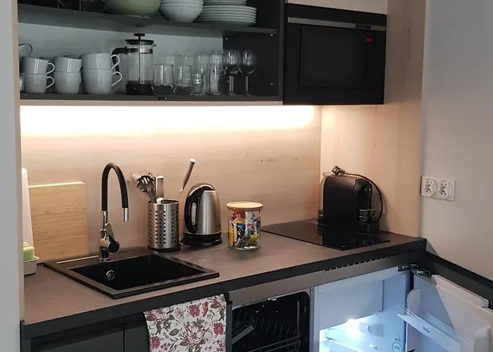Apartamento Chopin Park Lux Apartment, Self Check-in 24h, Free Parking, Air-conditioning Poznań