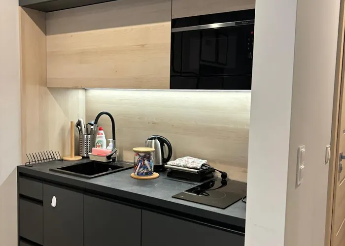 Chopin Park Lux Apartment, Self Check-in 24h, Free Parking, Air-conditioning Poznan